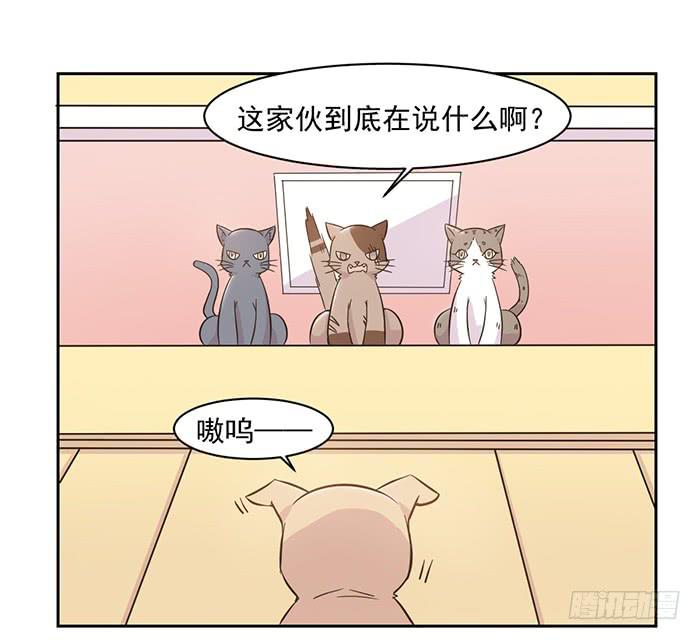 《双喵图腾》第021话 第20页