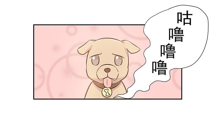 《双喵图腾》第021话 第21页