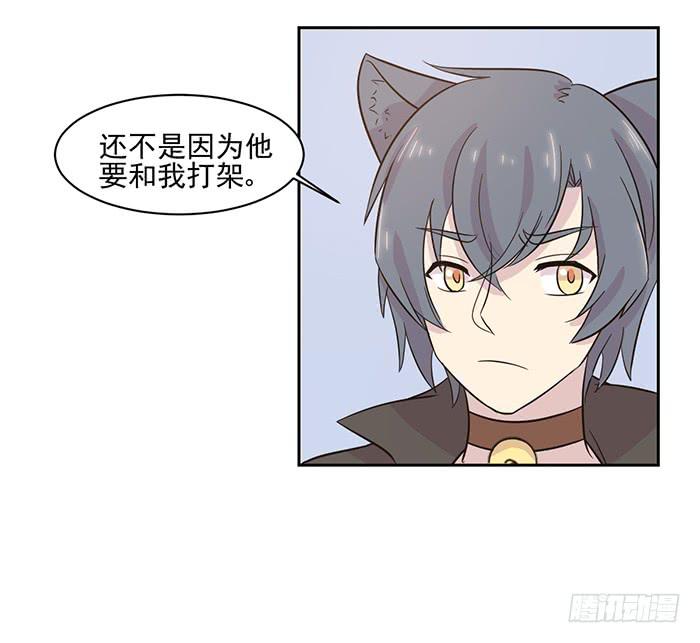 《双喵图腾》第020话 第11页