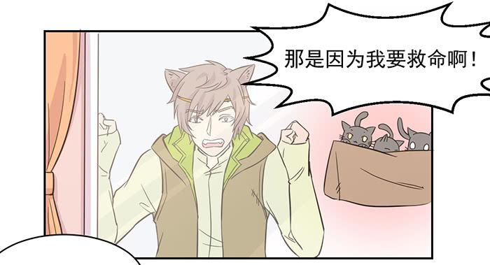 《双喵图腾》第020话 第12页