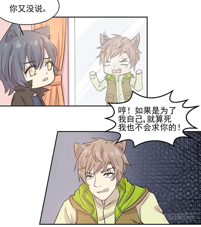 《双喵图腾》第020话 第13页