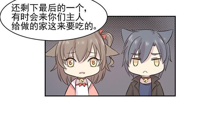 《双喵图腾》第020话 第15页