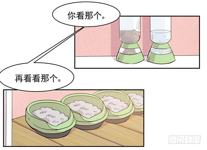 《双喵图腾》第020话 第3页