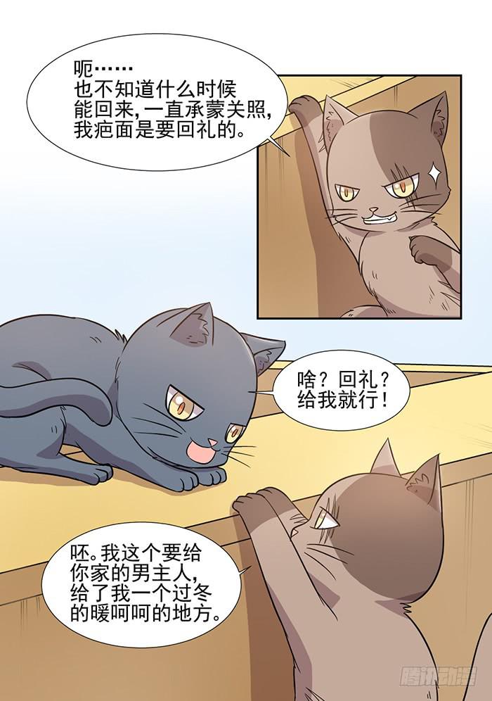 《双喵图腾》第027话 第11页