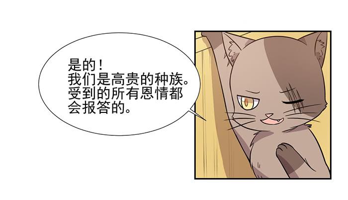 《双喵图腾》第027话 第13页
