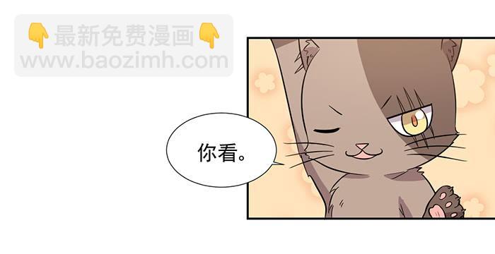 《双喵图腾》第027话 第15页