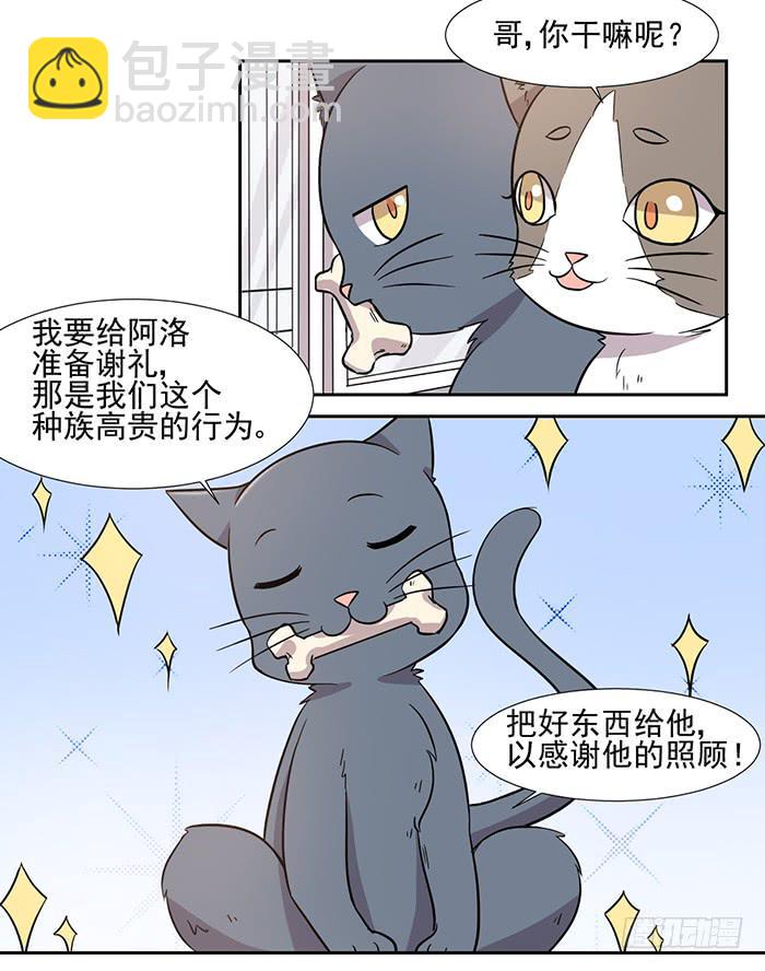 《双喵图腾》第027话 第21页