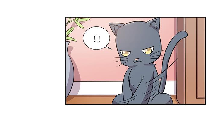 《双喵图腾》第027话 第26页