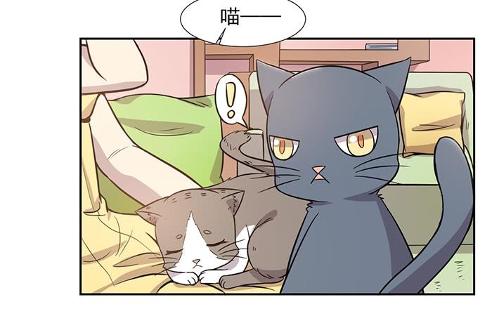 《双喵图腾》第027话 第5页
