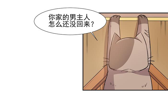 《双喵图腾》第027话 第9页