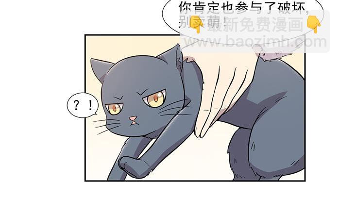 《双喵图腾》第025话 第11页
