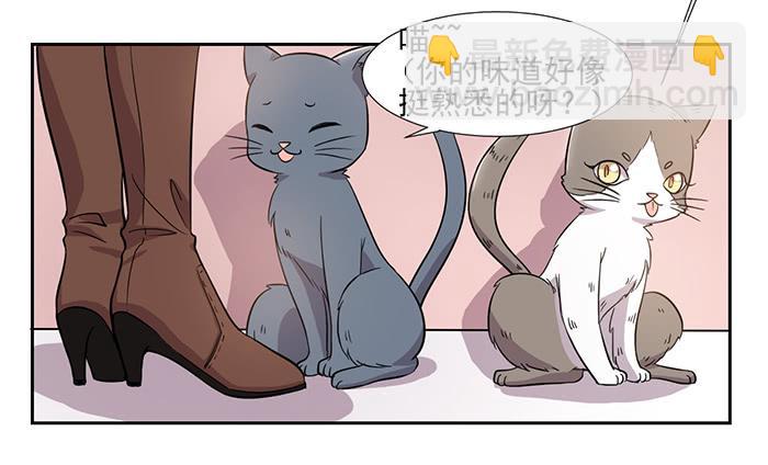 《双喵图腾》第025话 第9页