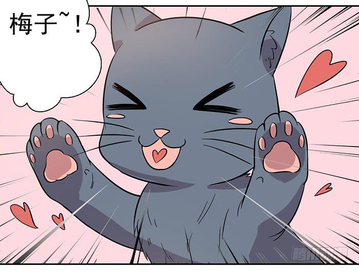 《双喵图腾》第026话 第11页