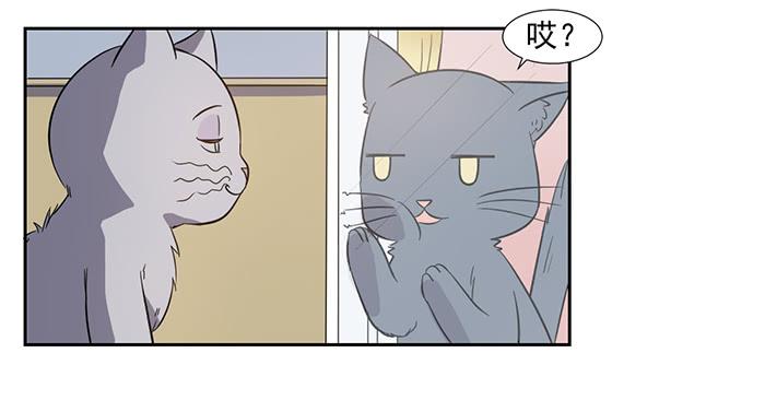 《双喵图腾》第026话 第12页