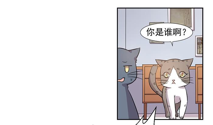 《双喵图腾》第026话 第13页