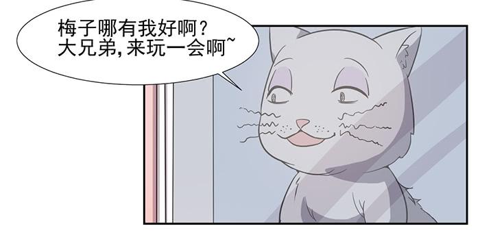 《双喵图腾》第026话 第15页