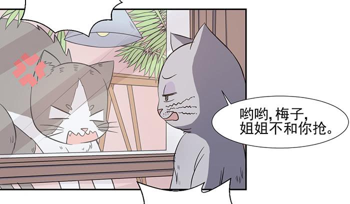 《双喵图腾》第026话 第18页