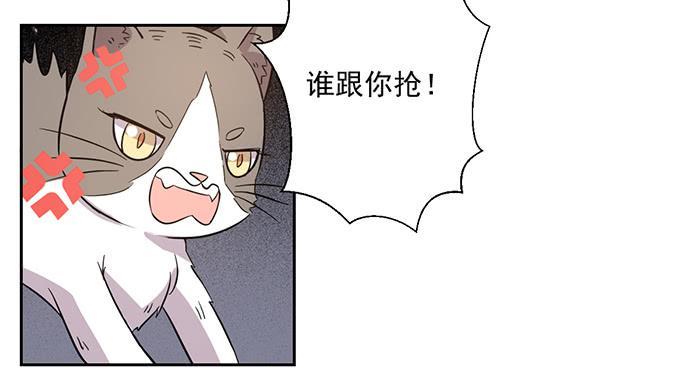 《双喵图腾》第026话 第19页