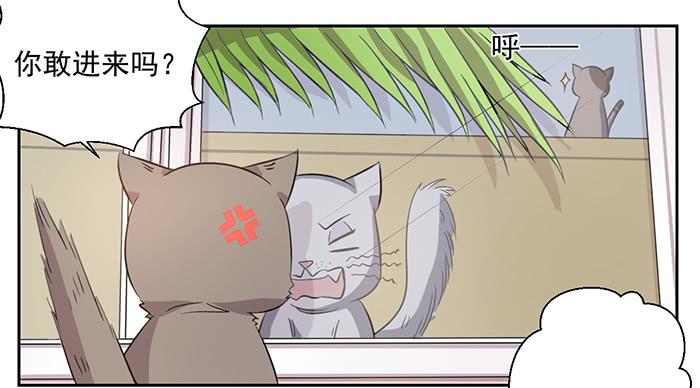 《双喵图腾》第026话 第21页