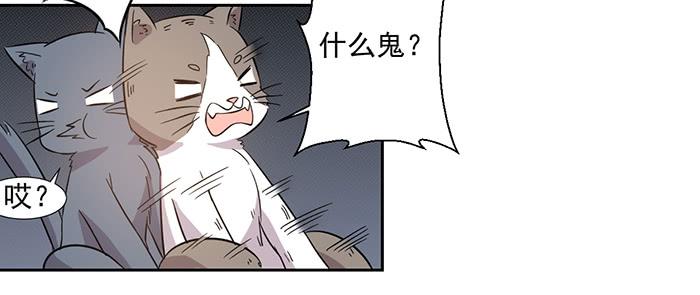 《双喵图腾》第026话 第23页