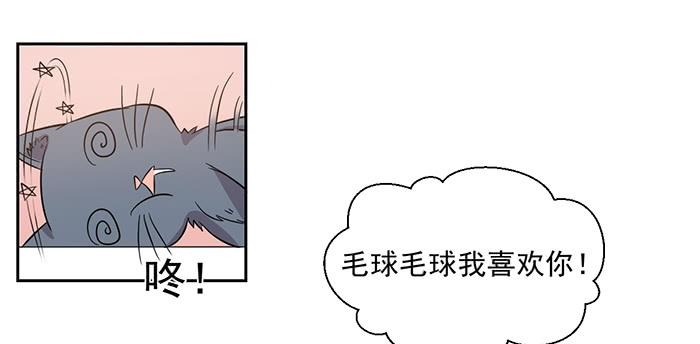 《双喵图腾》第026话 第24页