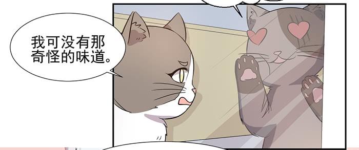 《双喵图腾》第026话 第25页