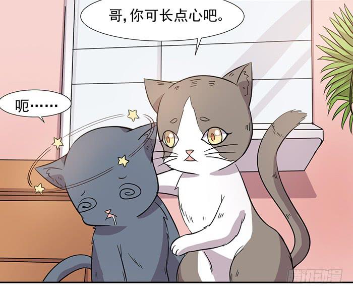 《双喵图腾》第026话 第26页