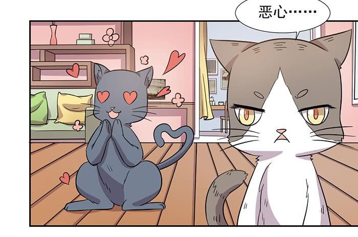 《双喵图腾》第026话 第8页