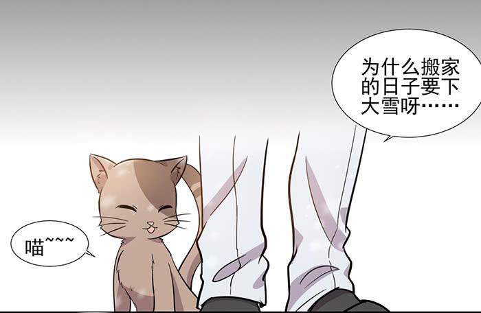 《双喵图腾》第024话 第14页