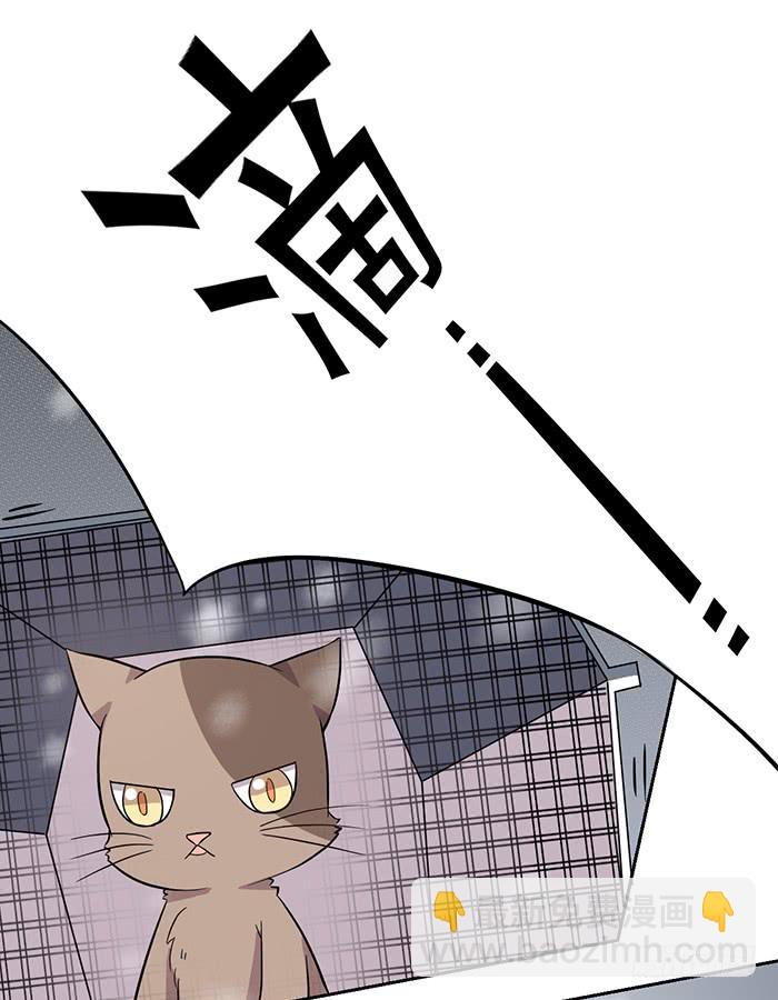 《双喵图腾》第024话 第17页