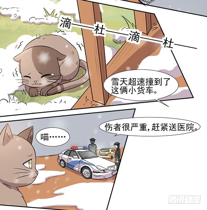 《双喵图腾》第024话 第19页