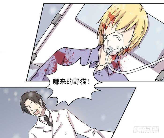 《双喵图腾》第024话 第21页