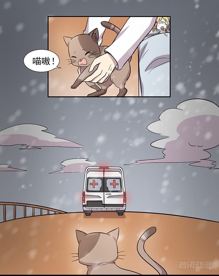 《双喵图腾》第024话 第24页