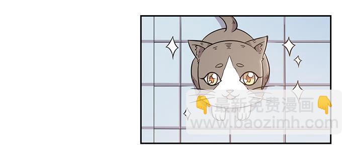 《双喵图腾》第029话 第10页