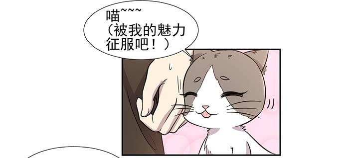 《双喵图腾》第029话 第12页