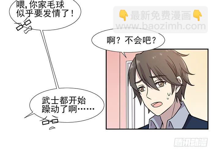《双喵图腾》第029话 第13页