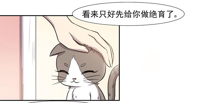 《双喵图腾》第029话 第15页
