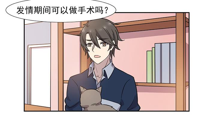 《双喵图腾》第029话 第16页