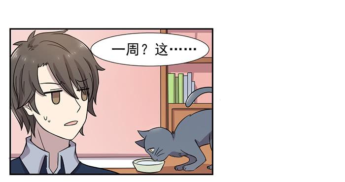 《双喵图腾》第029话 第18页