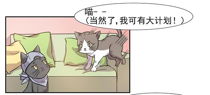 《双喵图腾》第029话 第20页