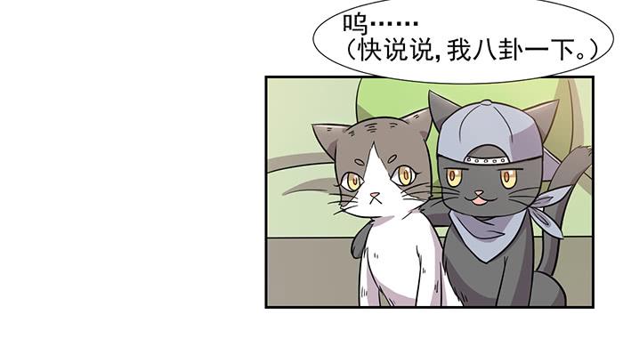 《双喵图腾》第029话 第21页