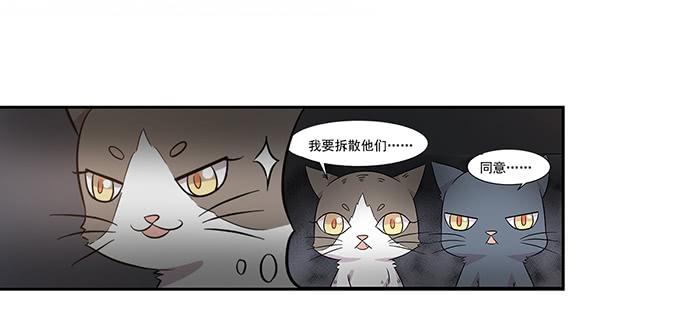 《双喵图腾》第029话 第9页
