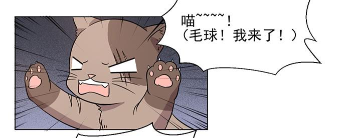 《双喵图腾》第030话 第13页