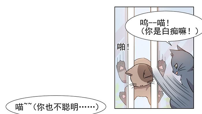 《双喵图腾》第030话 第17页