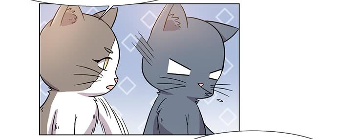 《双喵图腾》第030话 第18页