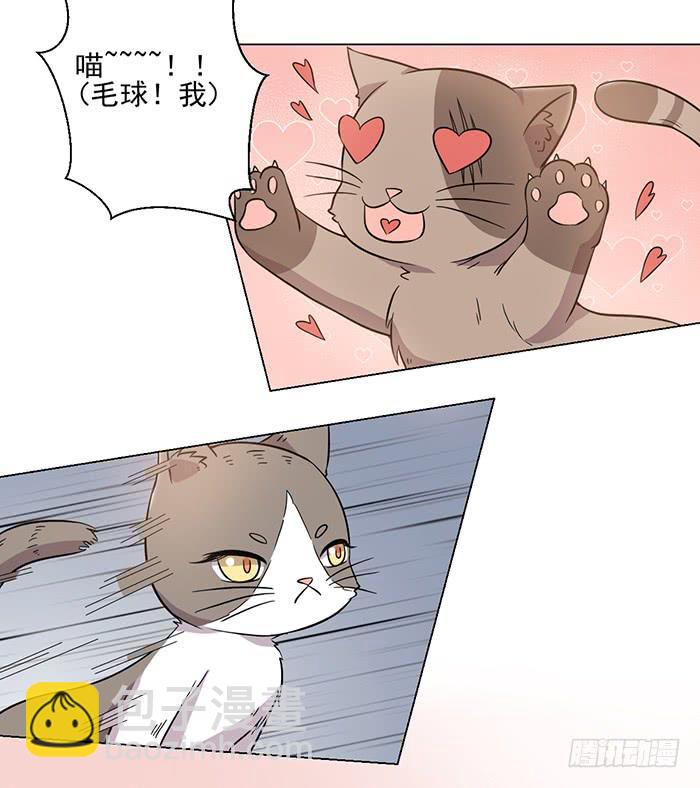 《双喵图腾》第030话 第20页
