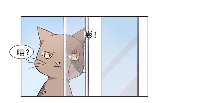 《双喵图腾》第030话 第27页