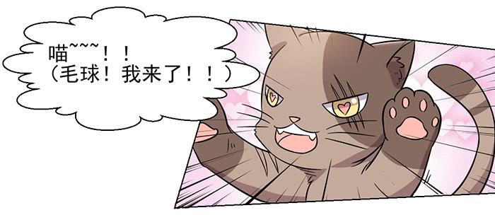 《双喵图腾》第030话 第8页