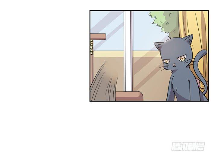 《双喵图腾》第028话 第10页