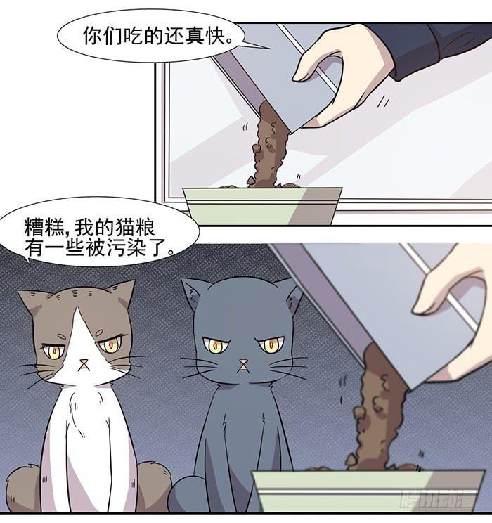 《双喵图腾》第028话 第12页